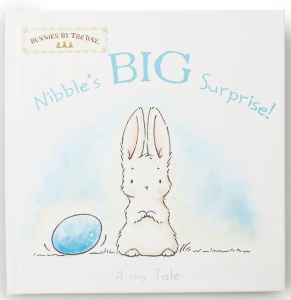 Bunnies by the Bay Nibble's Big Surprise Board Book